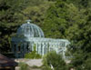 Borjomi hotels